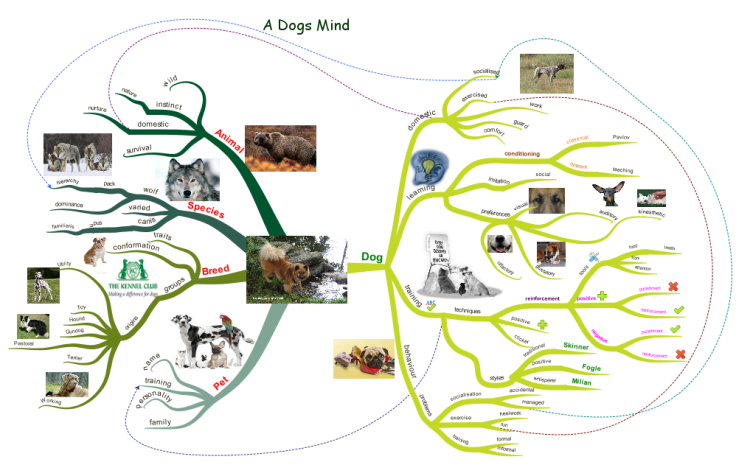 Mind Map