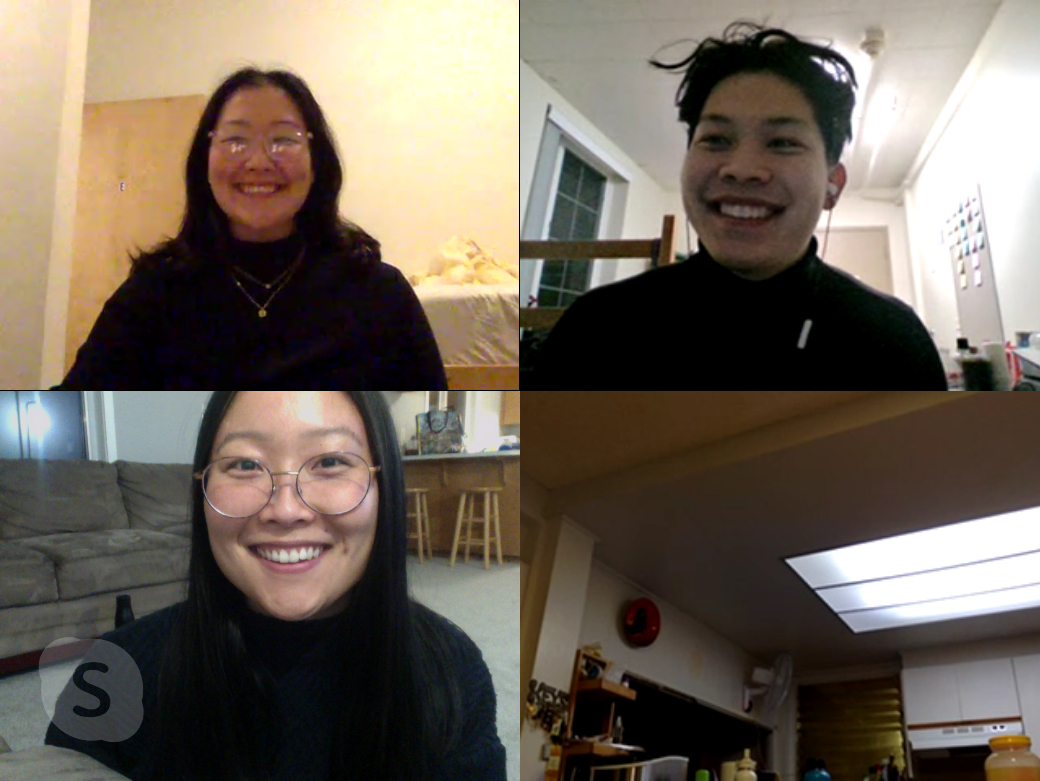 Screenshot of people on a Skype call