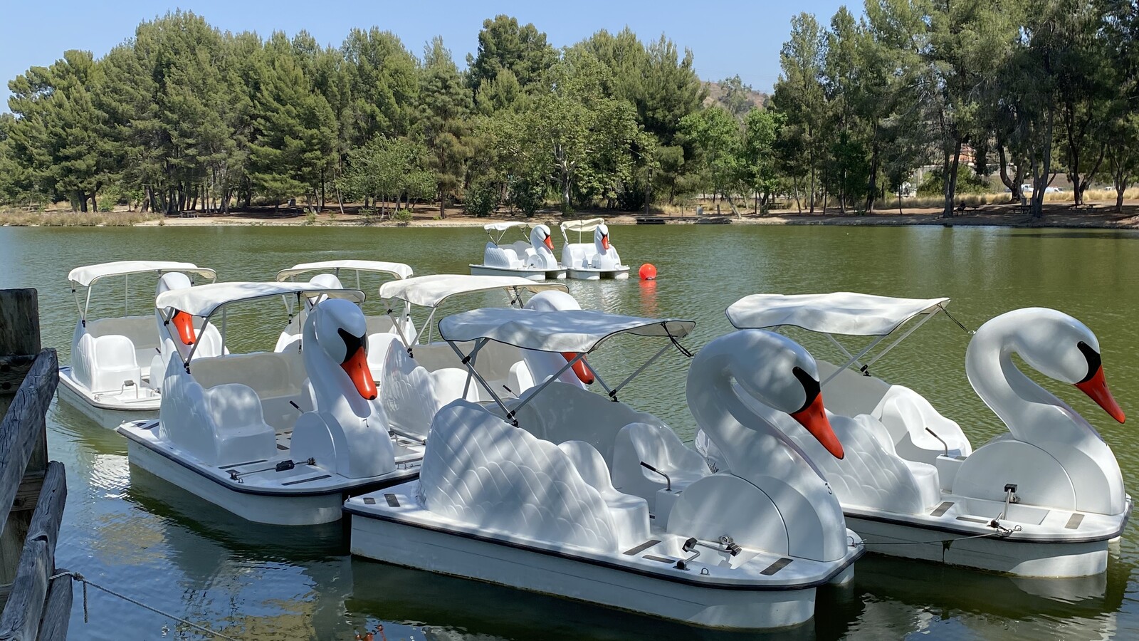 Swan boats at Yorba Linda Regional Park