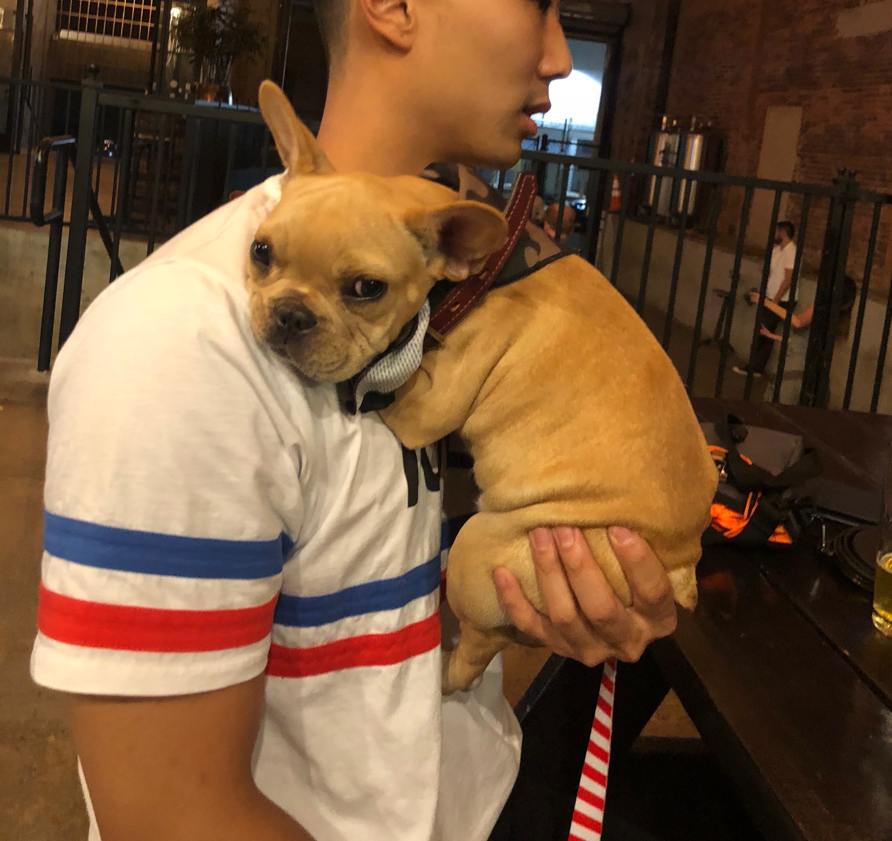 David Cho and his french bulldog Oliver