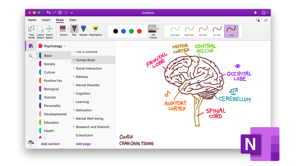 Screenshot of OneNote