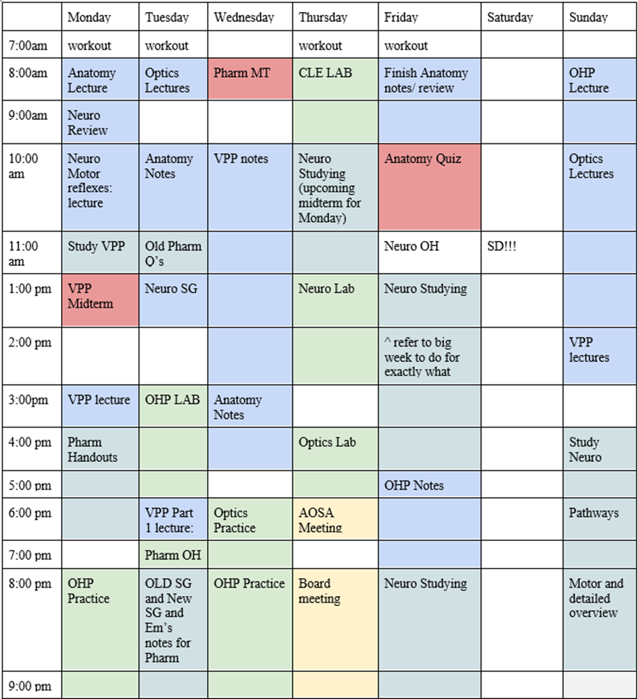 Photo of a student's weekly schedule