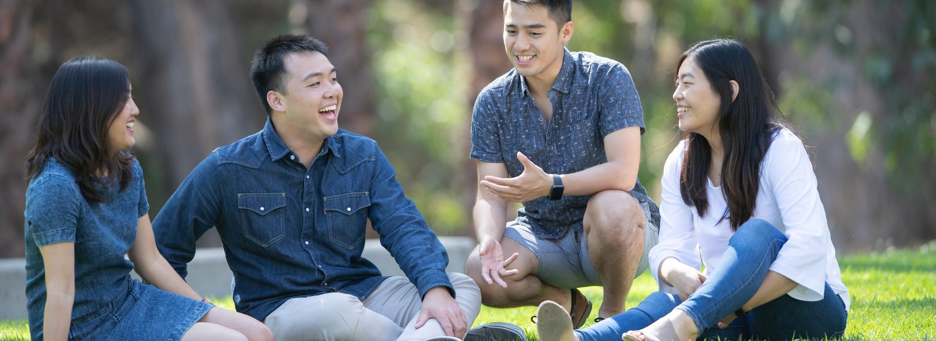 Students on lawn chatting and hanging out