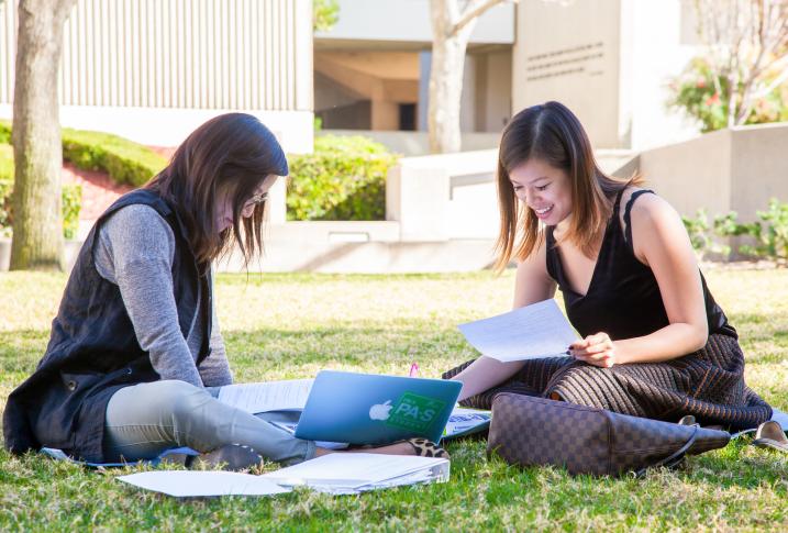 students studying outside