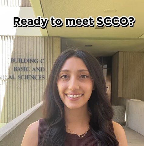 SCCO’s Optometry Admissions Workshop